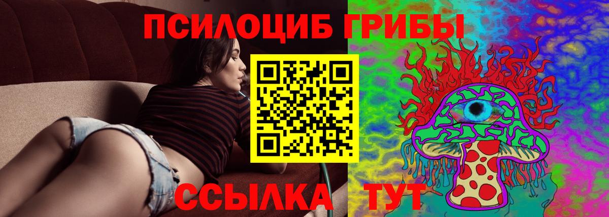 Псилоцибиновые грибы мицелий Кирово-Чепецк